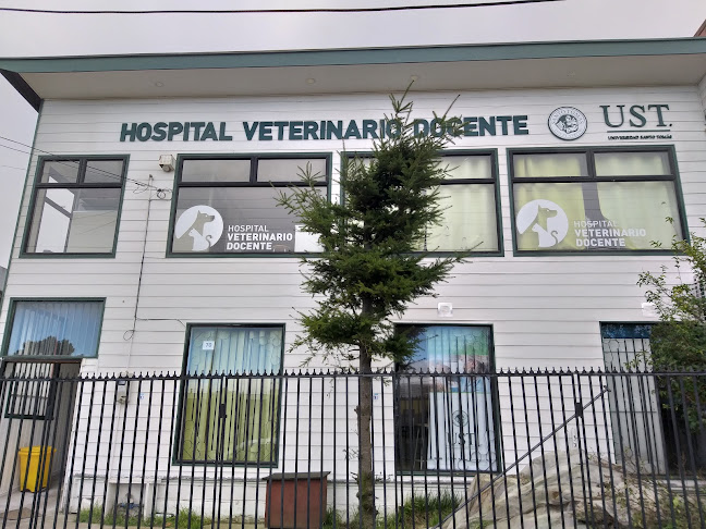 Hospital Clinico Veterinario UST - Puerto Montt
