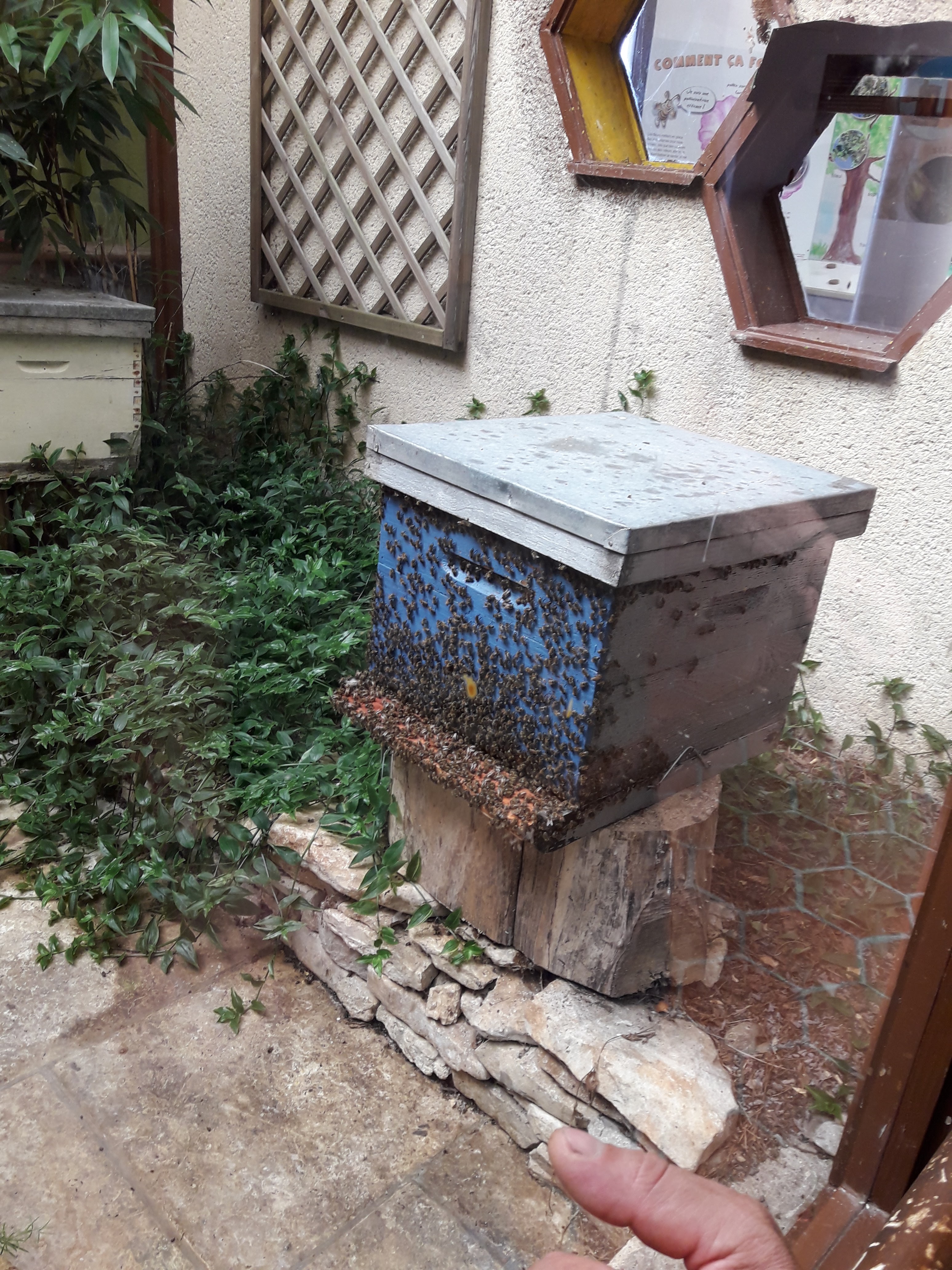 Photo n° 1 de l'avis de Lolote.. fait le 21/08/2020 à 10:19