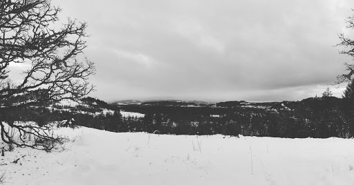 Park «Willamette Heights Park», reviews and photos, 508 Valley View, Springfield, OR 97477, USA