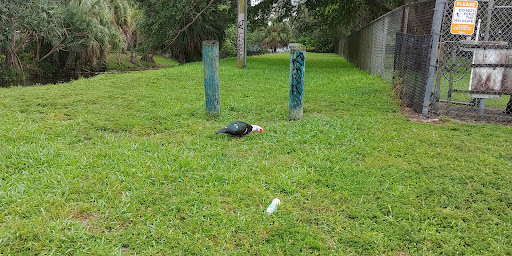 Park «Bicentennial Park», reviews and photos, 7300 Farragut St, Hollywood, FL 33024, USA