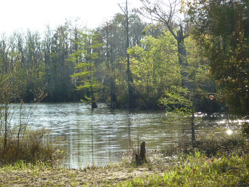 Fishing Camp «Becks Lake Fish Camp», reviews and photos, 2020 Becks Lake Rd, Cantonment, FL 32533, USA