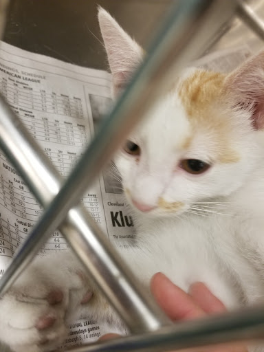 Pet Supply Store «PetSmart», reviews and photos, 73 RHL Blvd, South Charleston, WV 25309, USA