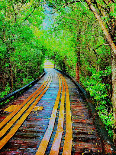 Golf Course «Heritage Harbor Golf Course», reviews and photos, 19502 Heritage Harbor Pkwy, Lutz, FL 33558, USA