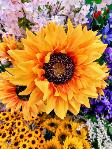 Craft Store «A.C. Moore Arts and Crafts», reviews and photos, 641 W Edgar Rd, Linden, NJ 07036, USA