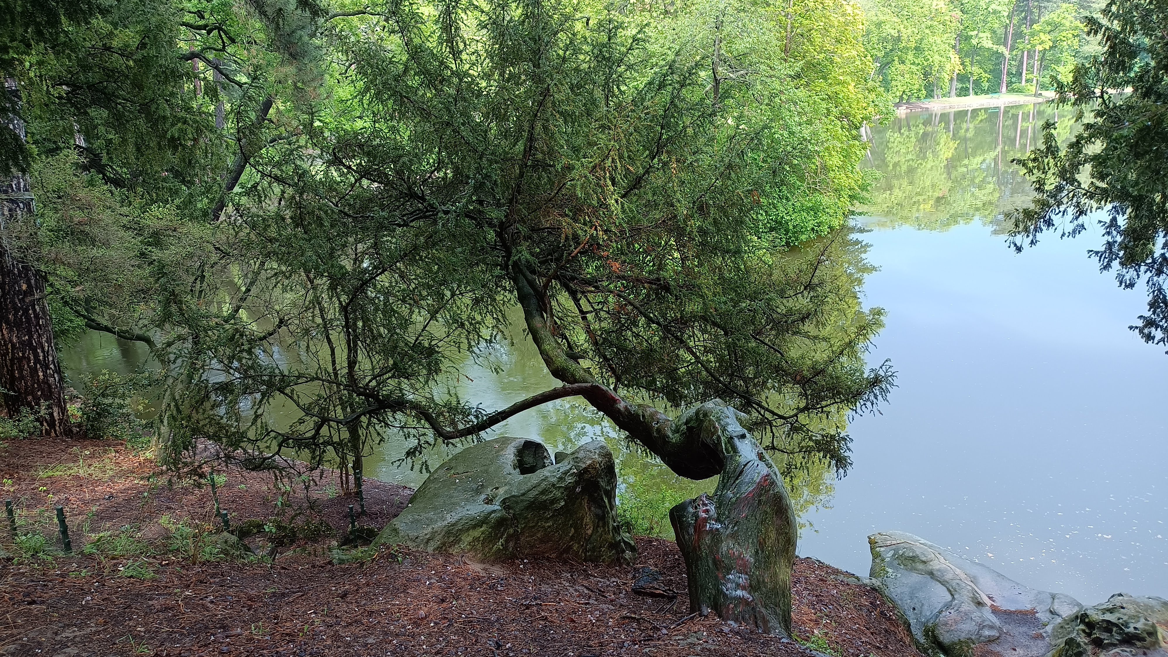 Photo n° 8 de l'avis de D. fait le 10/05/2023 à 10:51