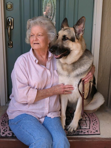 Pet Supply Store «PetSmart», reviews and photos, 3500 S Glenstone Ave, Springfield, MO 65804, USA