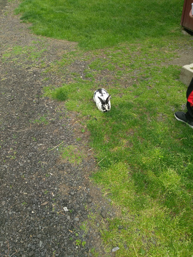 Farm «B & B Flower Farm», reviews and photos, 668 Jones Hill Rd, West Haven, CT 06516, USA