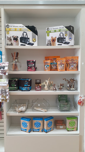 Pet Store «South Beach Pet Shop», reviews and photos, 634 6th St, Miami Beach, FL 33139, USA