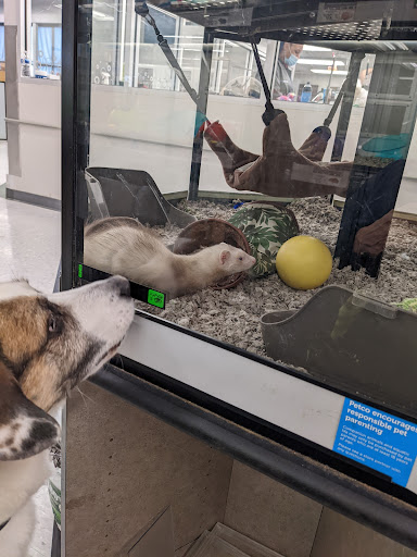 Pet Supply Store «Petco Animal Supplies», reviews and photos, 753 53rd Ave NE, Fridley, MN 55421, USA