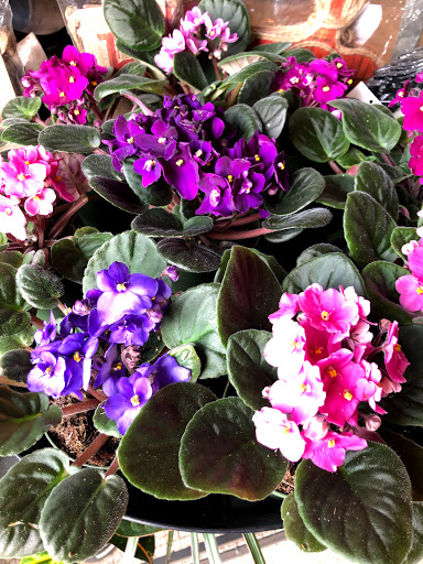 General Contractor «Laurel Bay Gardens Inc», reviews and photos, 88493 US-101, Florence, OR 97439, USA