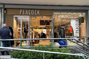 Peacock Moden Main Taunus Zentrum image