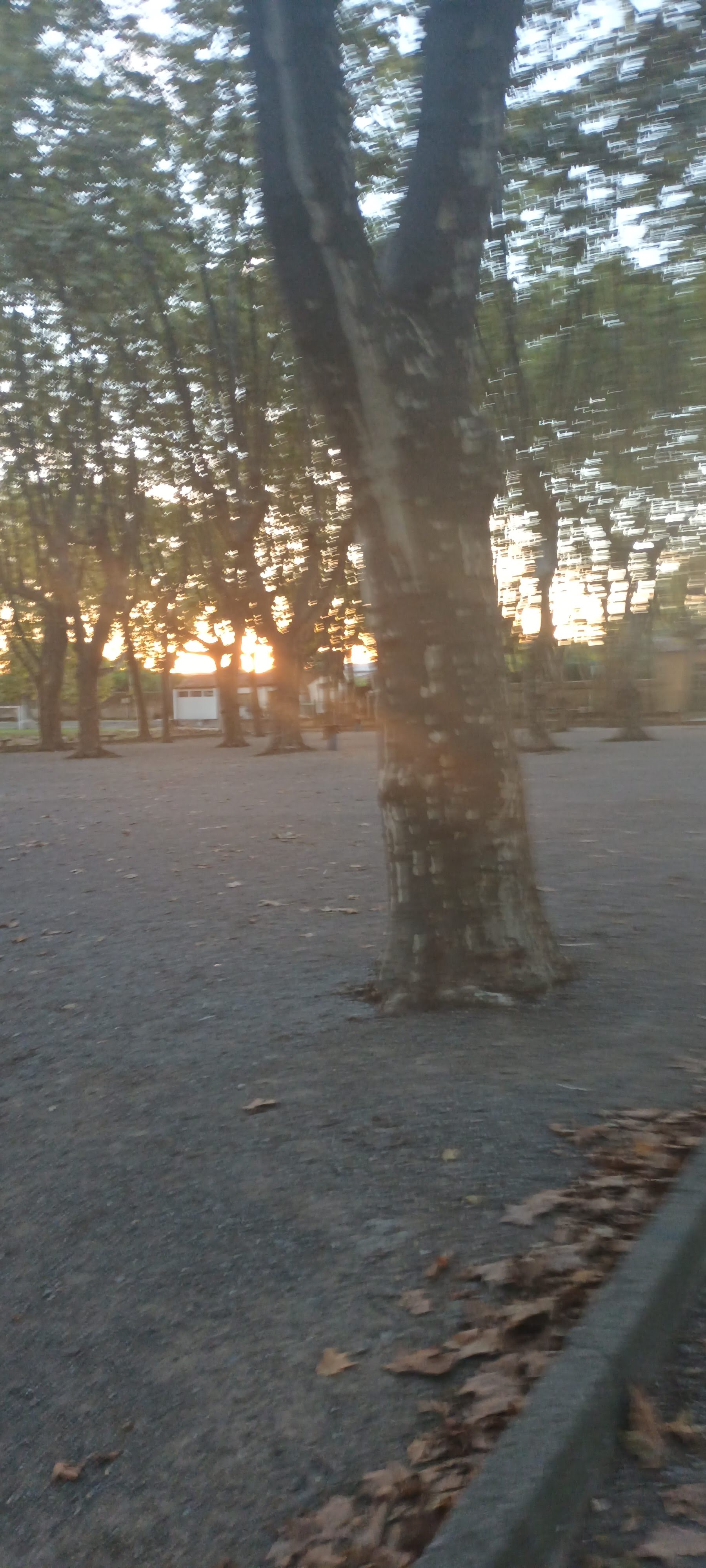 Photo n° 6 de l'avis de Ly. fait le 18/09/2022 à 20:59