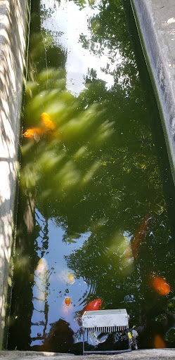 Gift Shop «Alamo Gift Shop», reviews and photos, 300 Alamo Plaza, San Antonio, TX 78205, USA