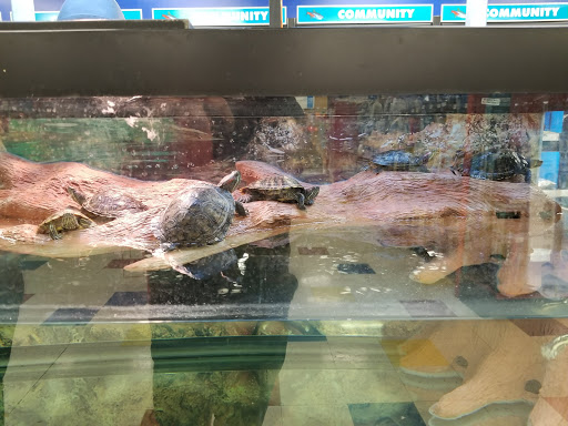 Pet Supply Store «Petco Animal Supplies», reviews and photos, 855 E Bidwell St, Folsom, CA 95630, USA