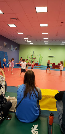 Gymnastics Center «The Little Gym of Hamilton», reviews and photos, 549 US-130, Hamilton Township, NJ 08691, USA