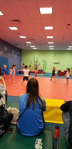 Gymnastics Center «The Little Gym of Hamilton», reviews and photos, 549 US-130, Hamilton Township, NJ 08691, USA