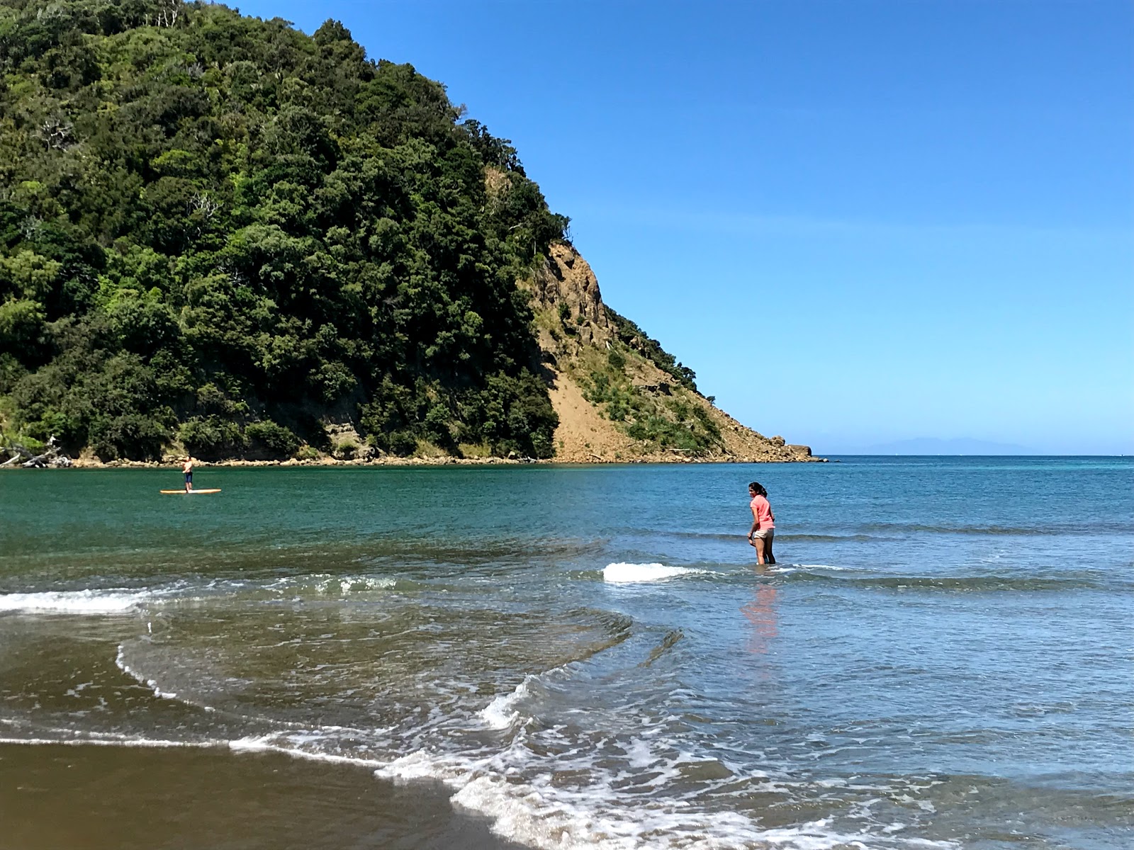 Waiwera Beach的照片 带有一条直的海岸线