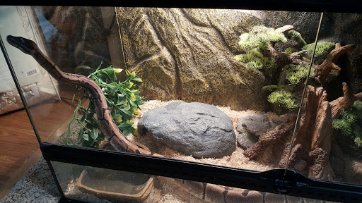 Pet Store «Kalamazoo Reptile Show», reviews and photos, 2900 Lake St, Kalamazoo, MI 49048, USA