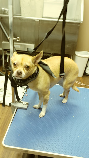 Pet Store «Pet Valu», reviews and photos, 2645 Shillington Rd, Sinking Spring, PA 19608, USA