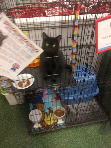 Pet Supply Store «Petco Animal Supplies», reviews and photos, 390 East 525 North, Harrisville, UT 84404, USA