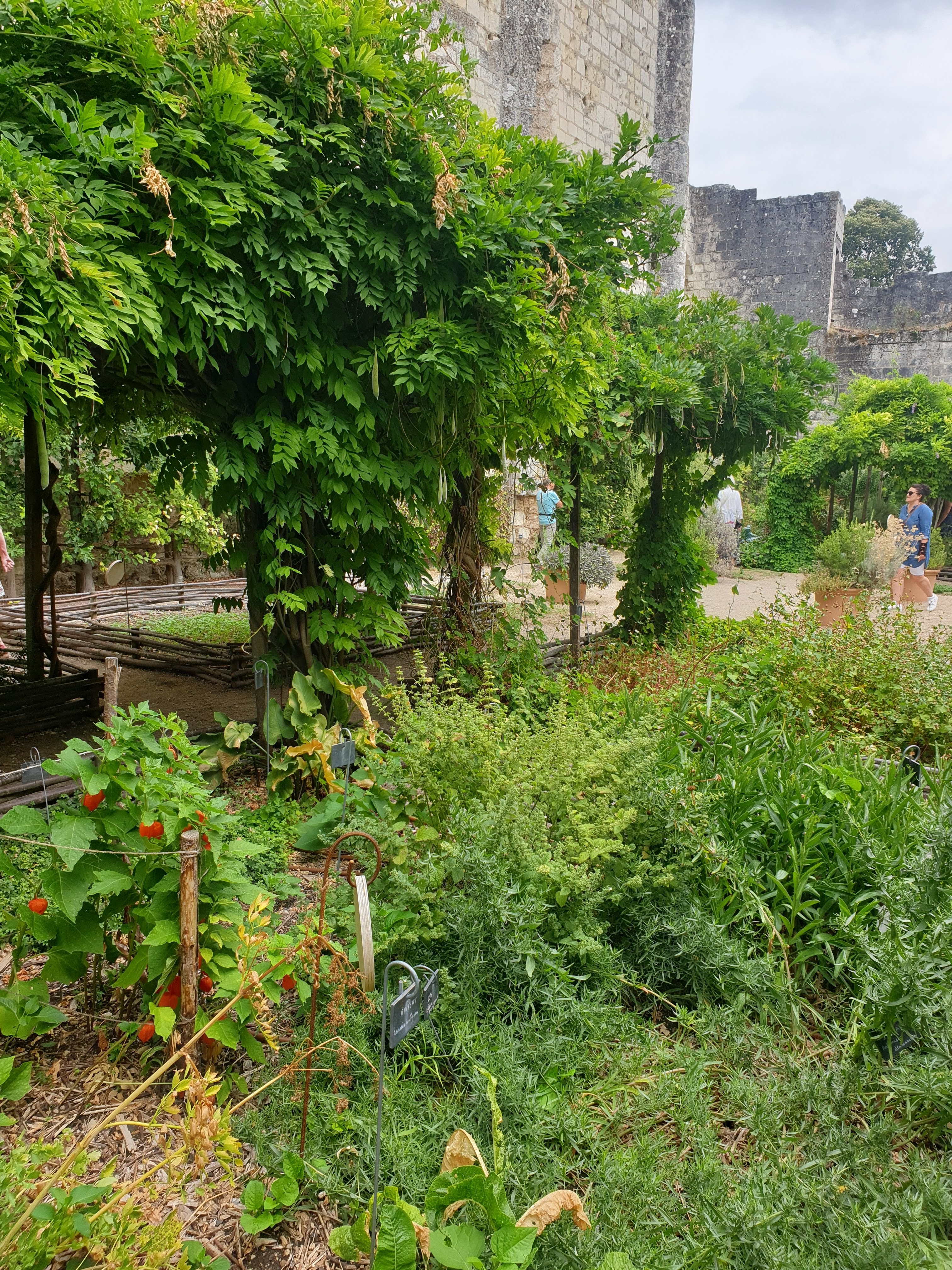 Photo n° 6 de l'avis de Philippe.o fait le 18/08/2022 à 21:01