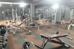 THE MUSCLE FACTORY GYM image