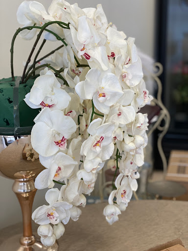 Florist «A Gentle Wind», reviews and photos, 2744 Touhy Ave, Chicago, IL 60645, USA