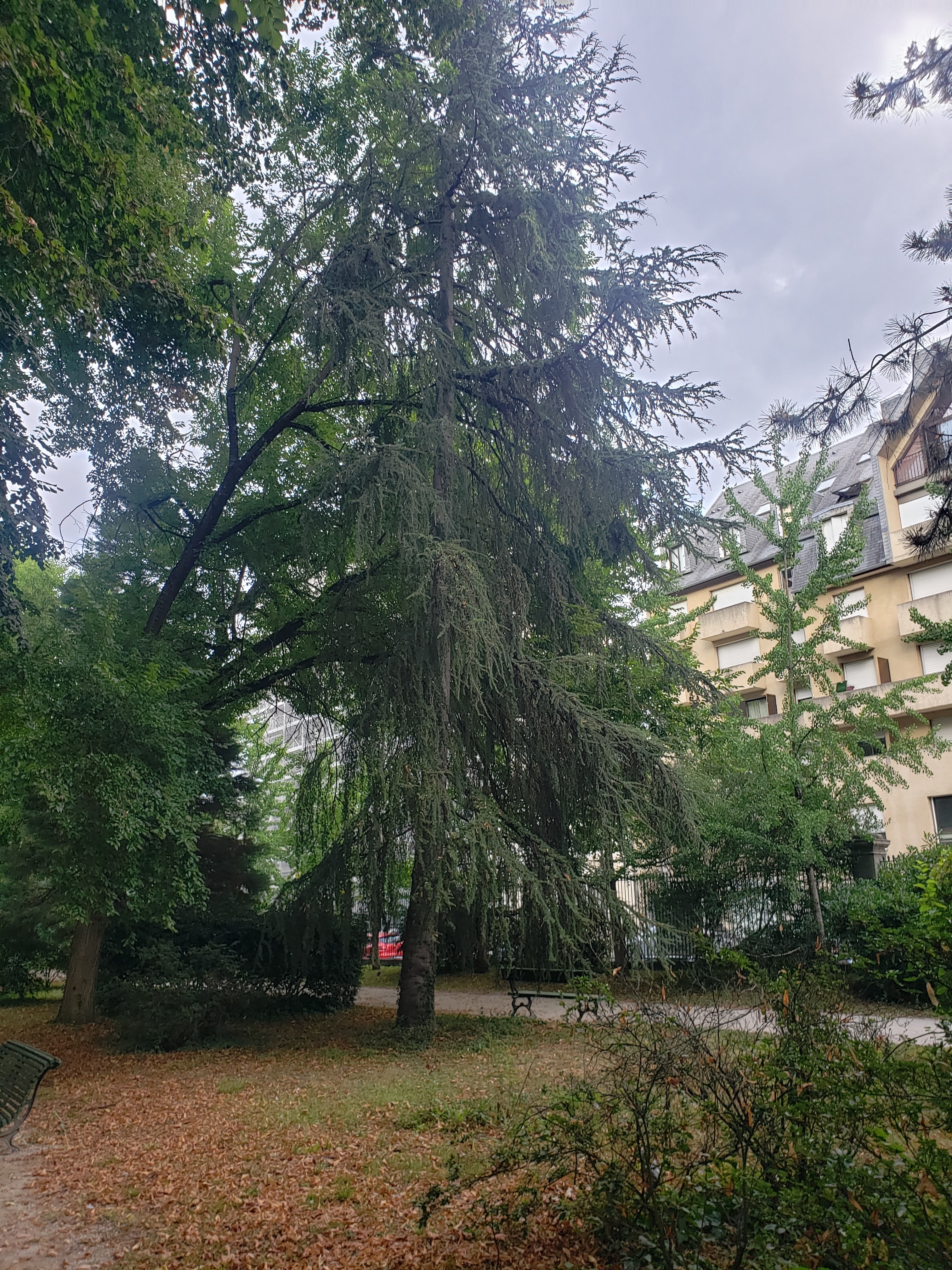 Photo n° 11 de l'avis de Julien.o fait le 16/08/2023 à 21:21
