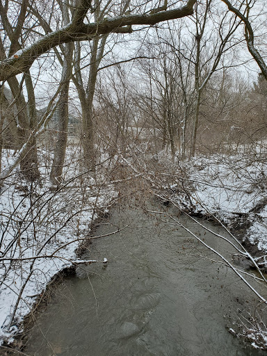 Florist «Kinsch Village Florist & Garden Center», reviews and photos, 301 Johnson St, Palatine, IL 60067, USA