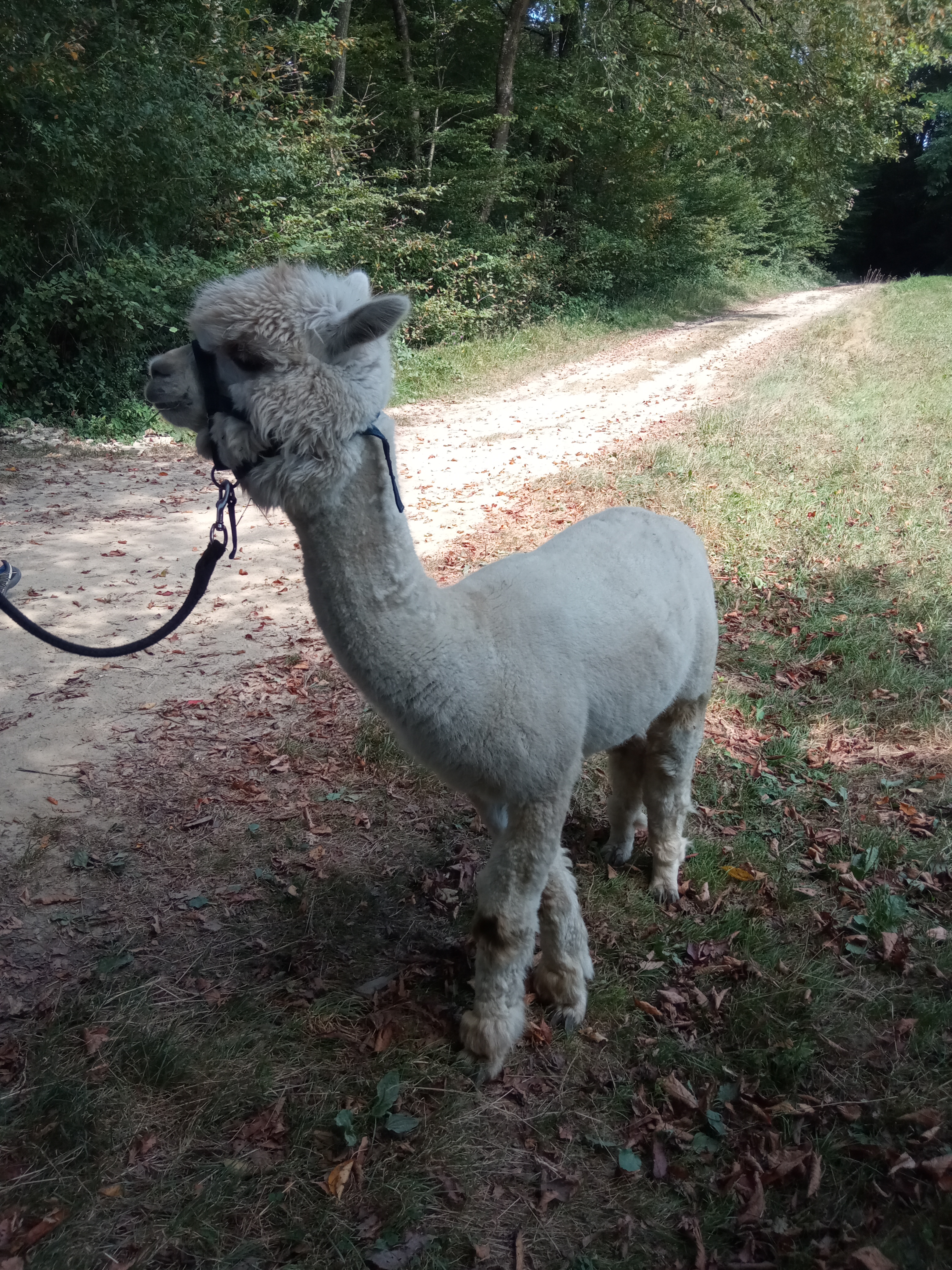 Photo n° 15 de l'avis de bribri.r fait le 31/08/2021 à 14:54