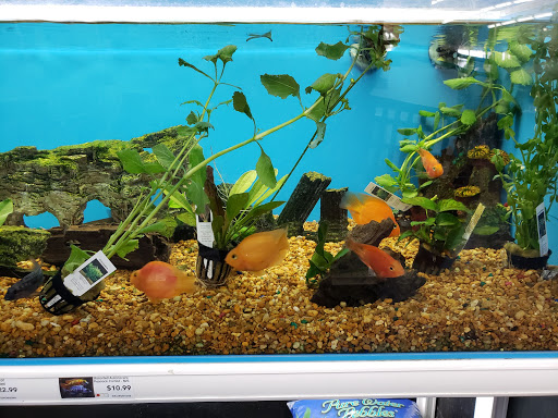Pet Store «Pet Supermarket», reviews and photos, 9798 Glades Rd, Boca Raton, FL 33434, USA