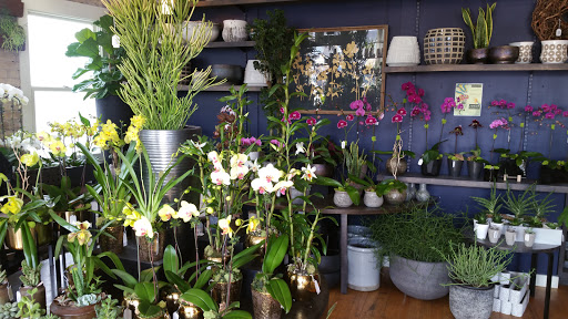 Orchid Grower «Orchid Dynasty», reviews and photos, 959 900 S, Salt Lake City, UT 84105, USA