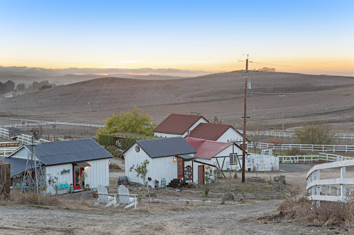 Evan Kishineff - EKishRealEstate Realtor Real Estate Agent image