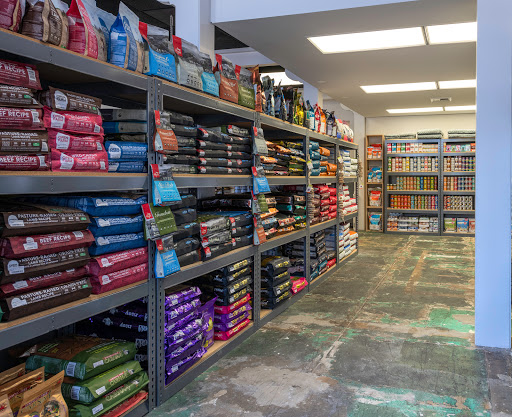 Pet Supply Store «Rosie Bunny Bean Urban Pet Provisions», reviews and photos, 1309 N Ave 51, Highland Park, CA 90042, USA