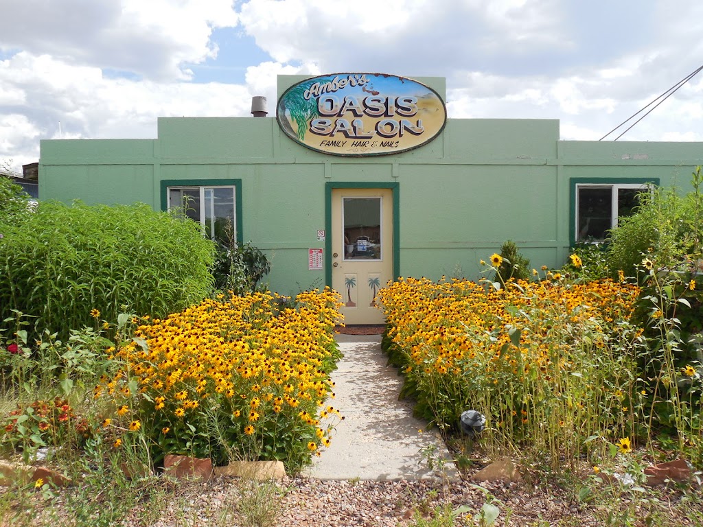 Ambers Oasis Salon 85937
