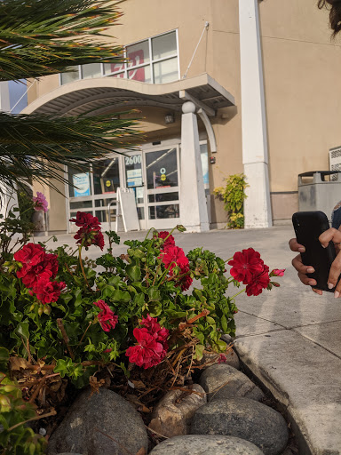 Drug Store «Walgreens», reviews and photos, 2600 Mowry Ave, Fremont, CA 94538, USA