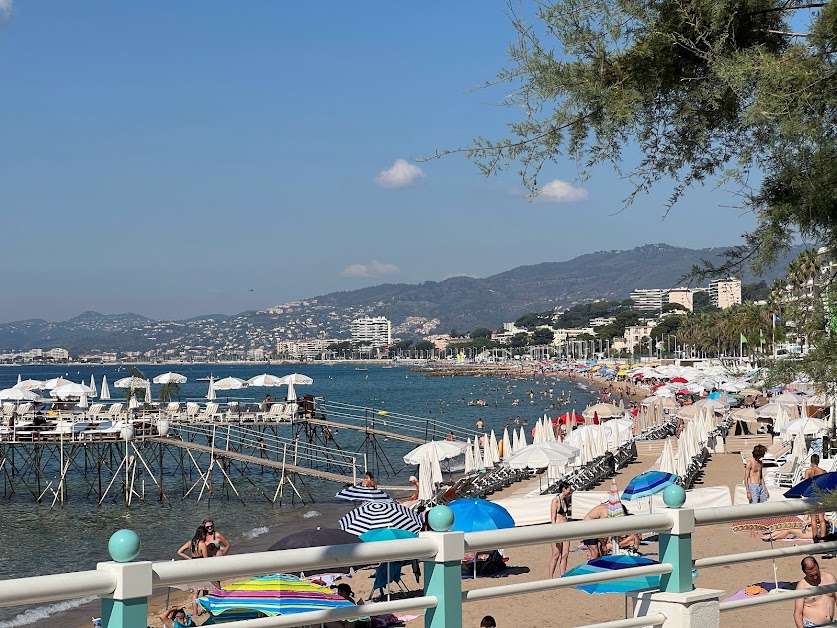 Azur Studios Cannes à Cannes (Alpes-Maritimes 06)