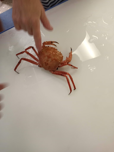 Aquarium «Explore the Ocean World, llc Oceanarium», reviews and photos, 367 Ocean Blvd, Hampton, NH 03842, USA