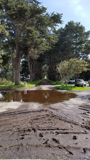 Butcher Shop «Marin Sun Farms», reviews and photos, 10905 Shoreline Hwy, Point Reyes Station, CA 94956, USA