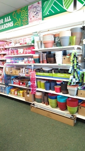 Dollar Store «Dollar Tree», reviews and photos, 266 N Telegraph Rd, Pontiac, MI 48341, USA