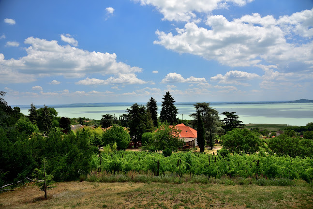 Folly Arborétum és Borászat Webshop - Italbolt