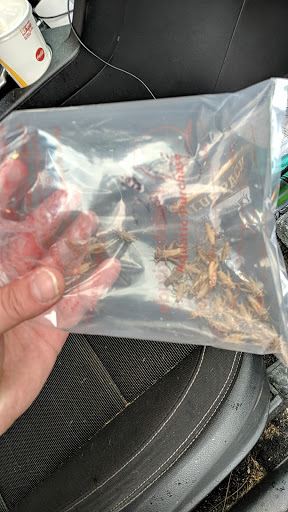 Pet Supply Store «Petco Animal Supplies», reviews and photos, 35 Fort Eddy Rd, Concord, NH 03301, USA