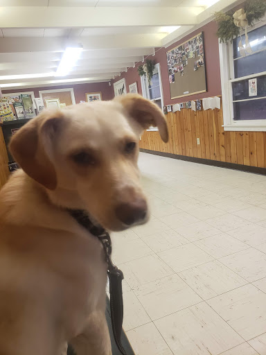 Watertown Animal Hospital image