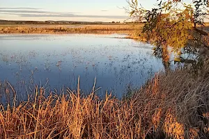 Fivebough and Tuckerbil Wetlands image