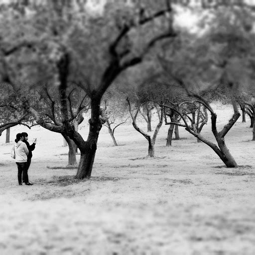 Park «Columbus Park», reviews and photos, 67 Mulberry St, New York, NY 10013, USA