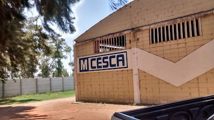 Mosaicos Mario Cesca SA