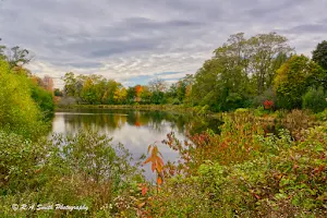 Capisic Pond Park image
