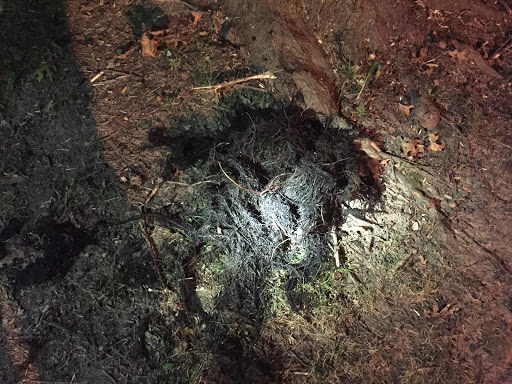 Plumber «Roto-Rooter Plumbing & Drain Services», reviews and photos, 110 W Main St #160, Belleville, IL 62220, USA