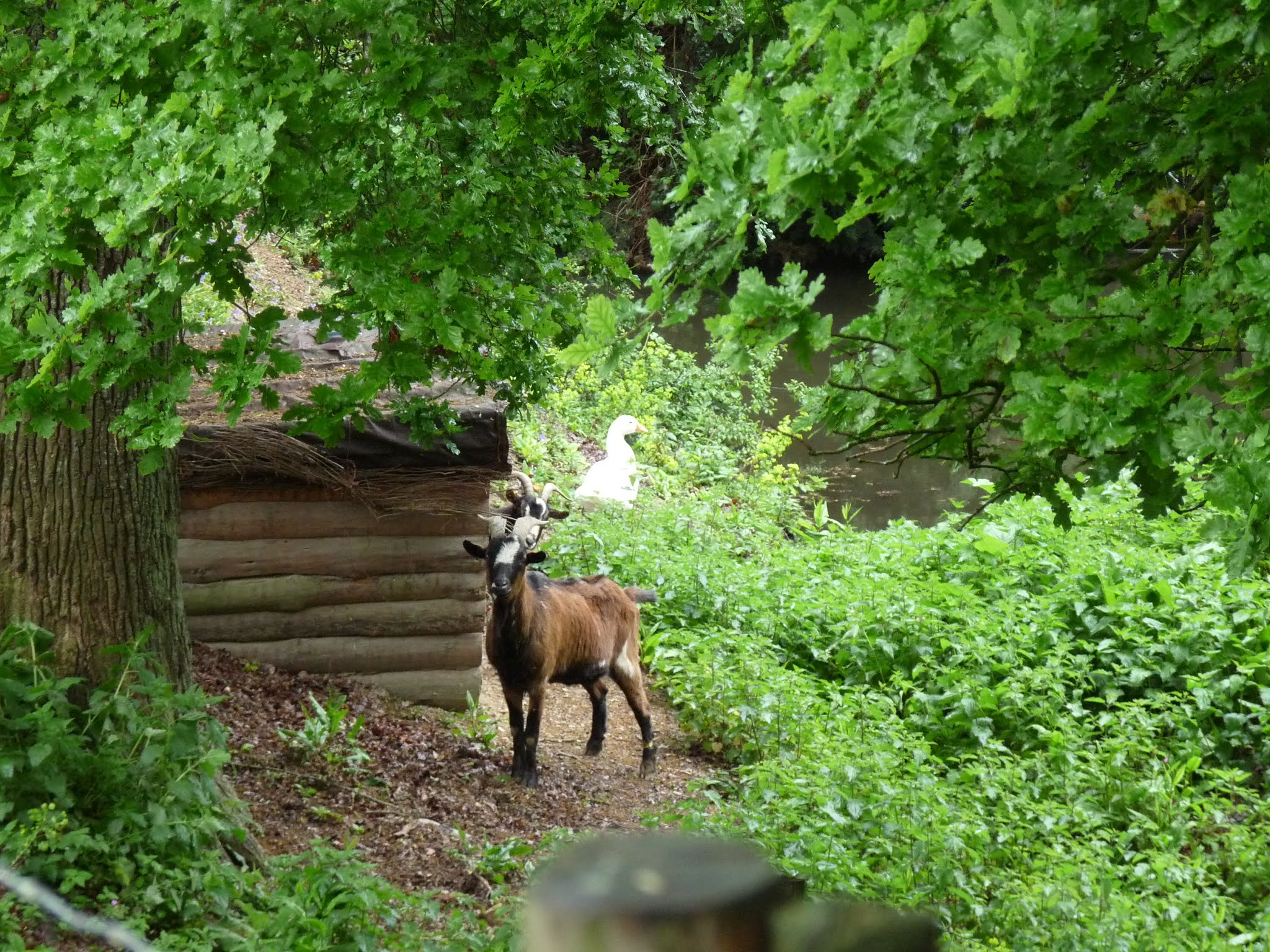 Photo n° 20 de l'avis de Guillaume.i fait le 16/05/2019 à 19:52