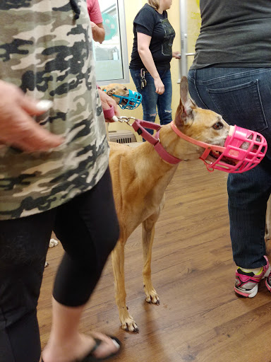 Pet Supply Store «PetPeople», reviews and photos, 3330 Washtenaw Ave, Ann Arbor, MI 48104, USA